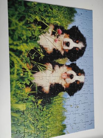 Puzzle chiots