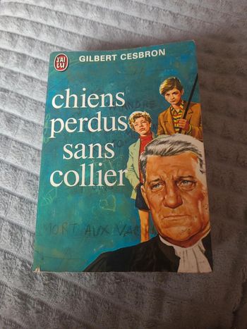 Chiens perdus sans collier