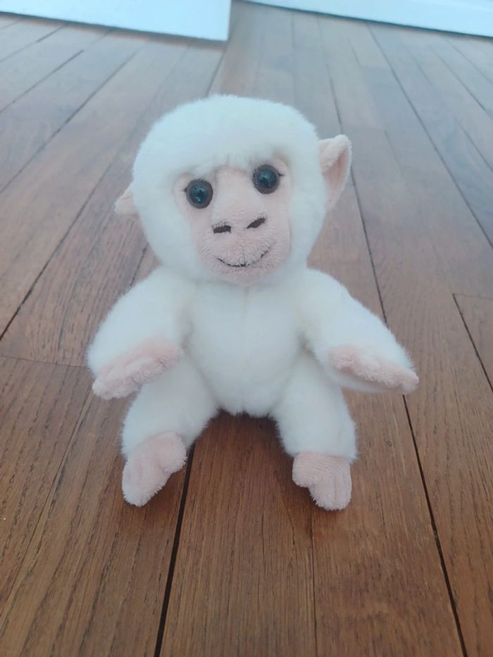 Petit singe