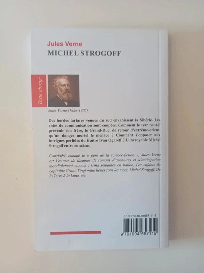 Livre Michel strogoff - photo numéro 2