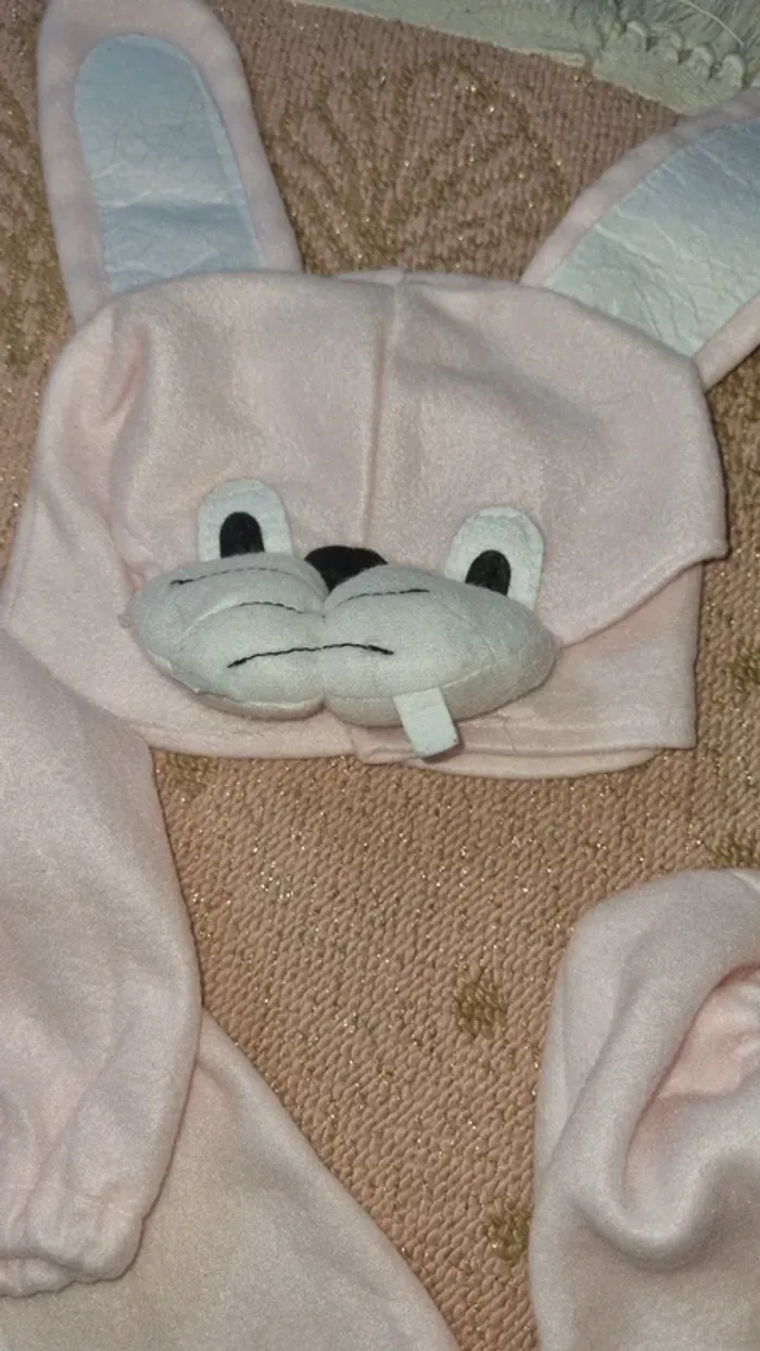 Costume lapin pour Pâques - photo numéro 3