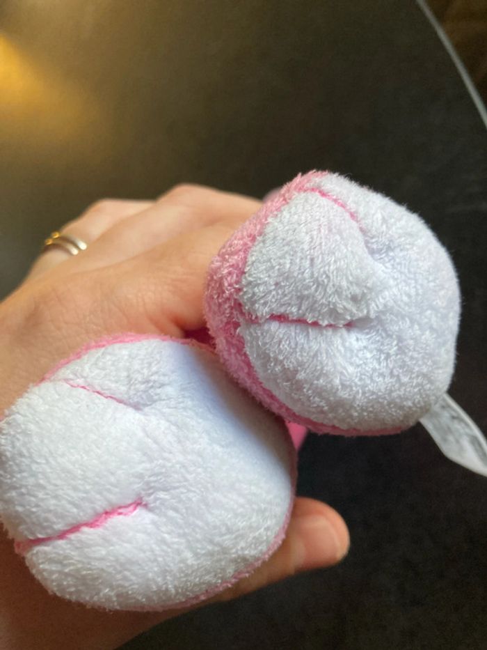 Chant’ ourson Nina - photo numéro 3