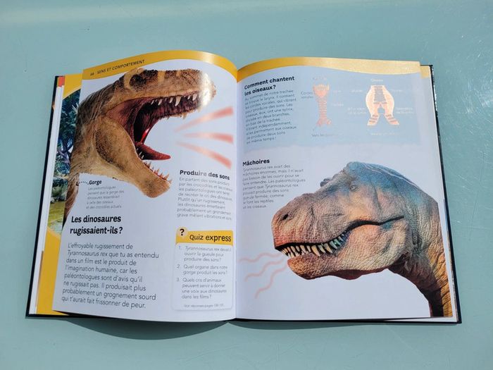 Questions ? Reponses! L'encyclopédie des dinosaures - photo numéro 8