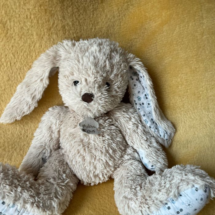 Doudou lapin, histoire d’ours