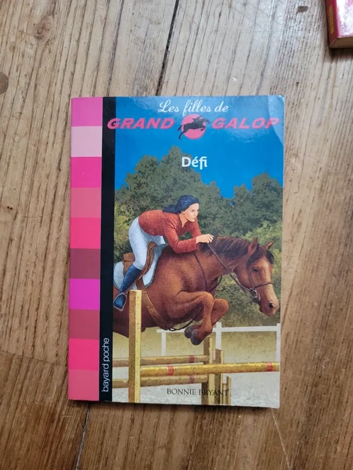 Lot 4 livres de la série Grand Galop - photo numéro 4