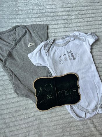 Lot de 2 bodys manches courtes 12 mois