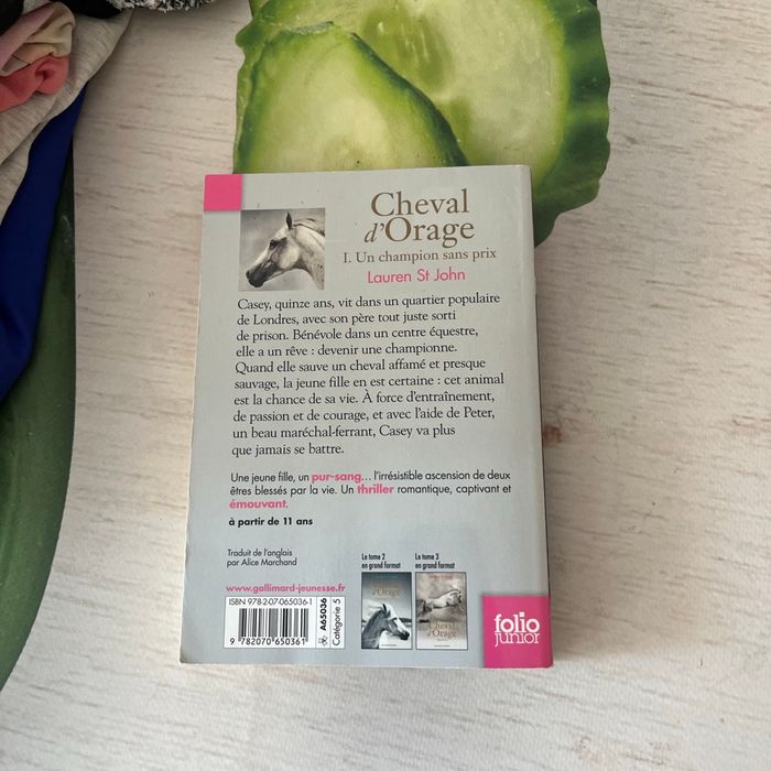 Livre « Cheval D’Orage » - photo numéro 2