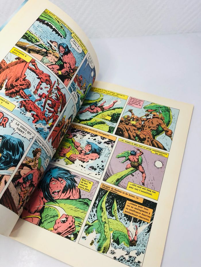 Conan le barbare dans les griffes du faucon - photo numéro 2