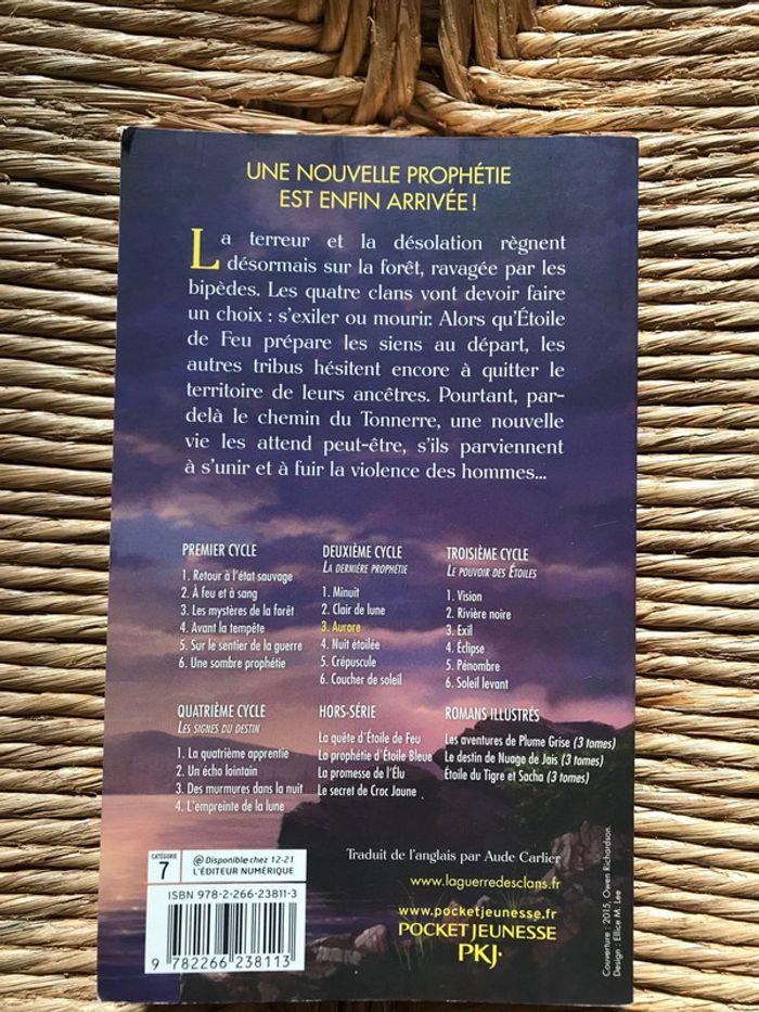 Aurore la guerre des clans erin Hunter - photo numéro 2