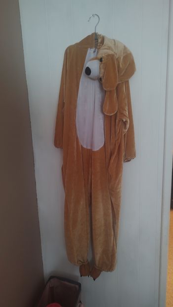 🐶 Déguisement chien marron – Taille 8/10 ans