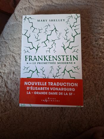 Frankenstein ou le prométhée moderne