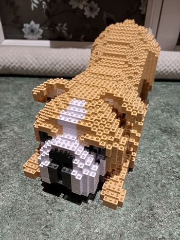 Bouledogue anglais lego jekca 