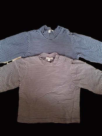 Lot 2 t-shirts manches longues col roulé Grain de Blé 18 mois