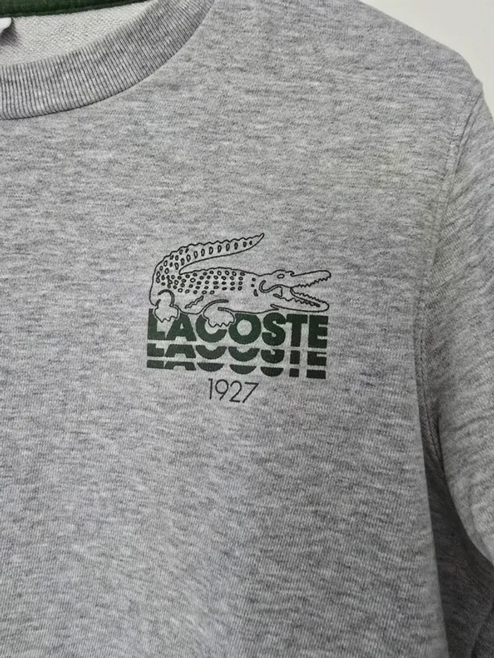 Sweat lacoste - photo numéro 2