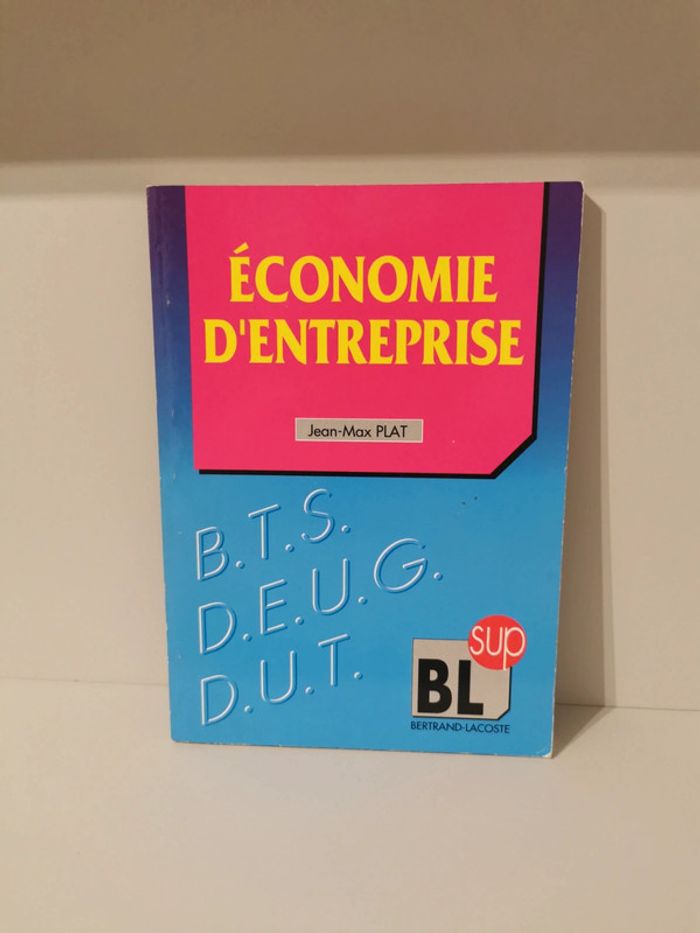 Économie d'entreprise