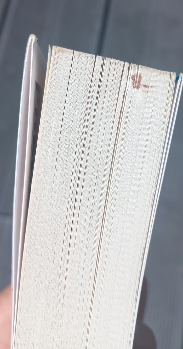 Livre Si je mens tu vas en enfer - photo numéro 3