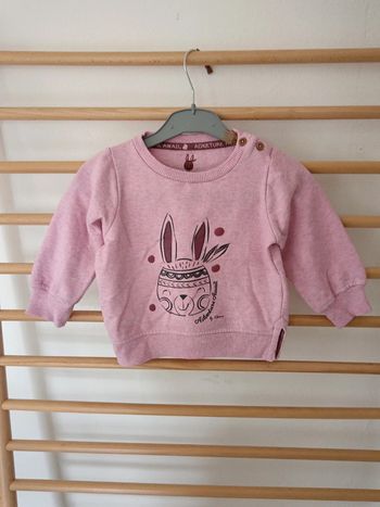 Pulls kloane lapin