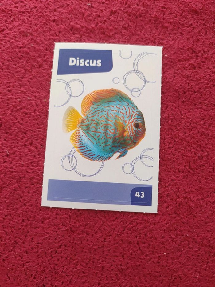 Carte nos amies les bêtes