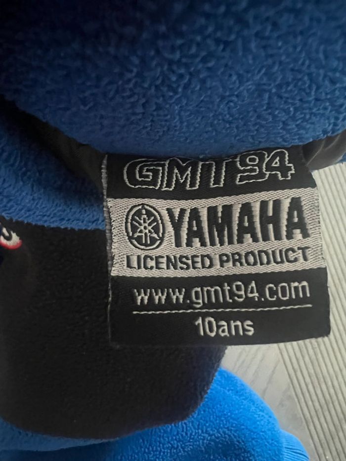 Verte polaire yamaha 10 ans - photo numéro 6