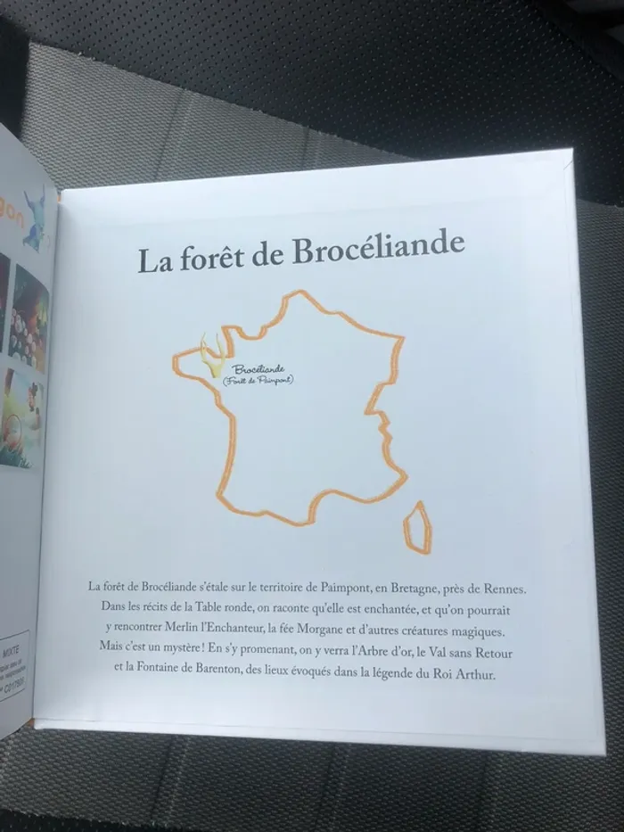 livre hachette jeunesse les créatures fantastiques de Brocéliande - photo numéro 4