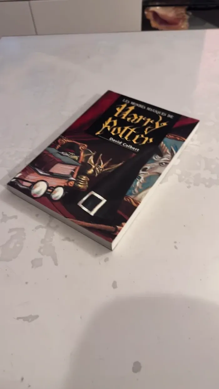 Les Mondes Magiques de Harry Potter – David Colbert – Édition française - photo numéro 2