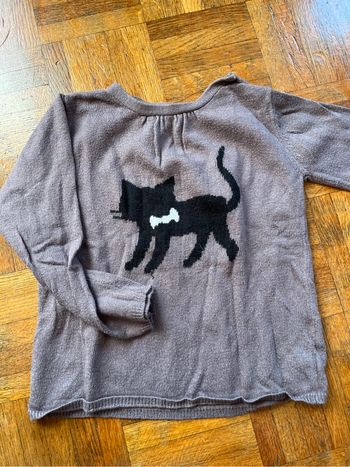 Pull avec chat