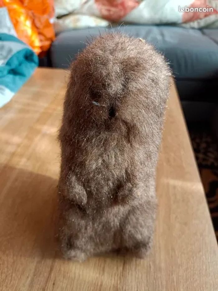 Peluches - photo numéro 2