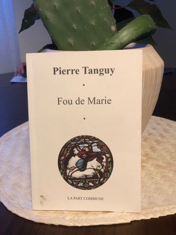 Fou de Marie - Pierre Tanguy 