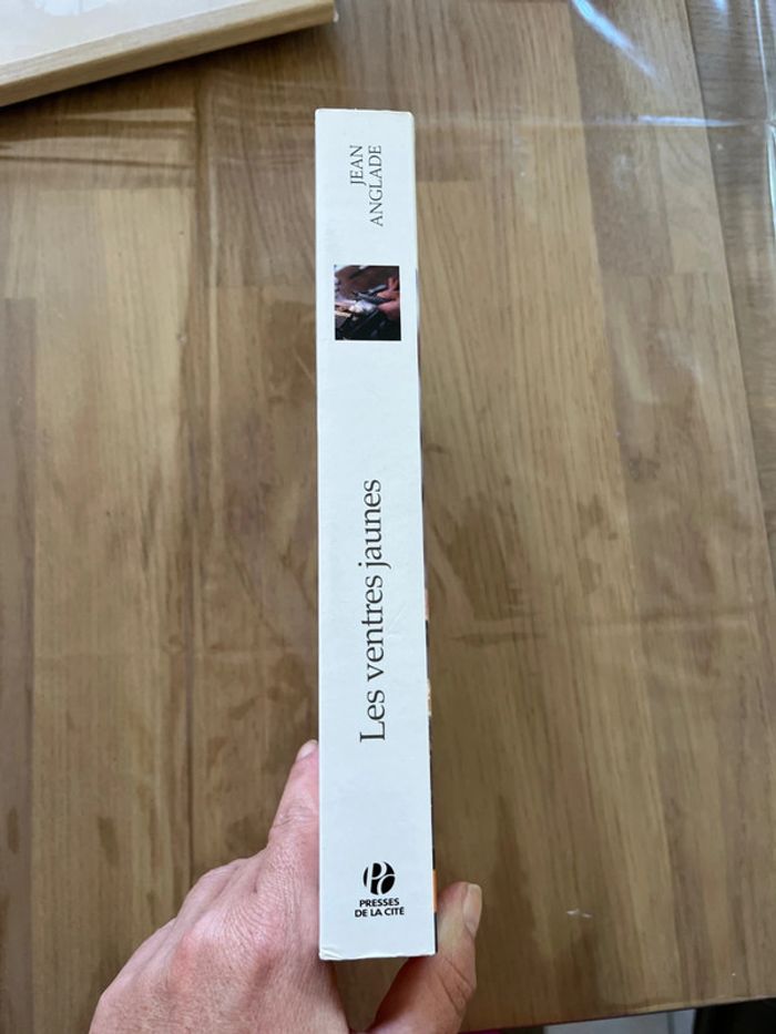 Livre les ventres jaunes - photo numéro 3