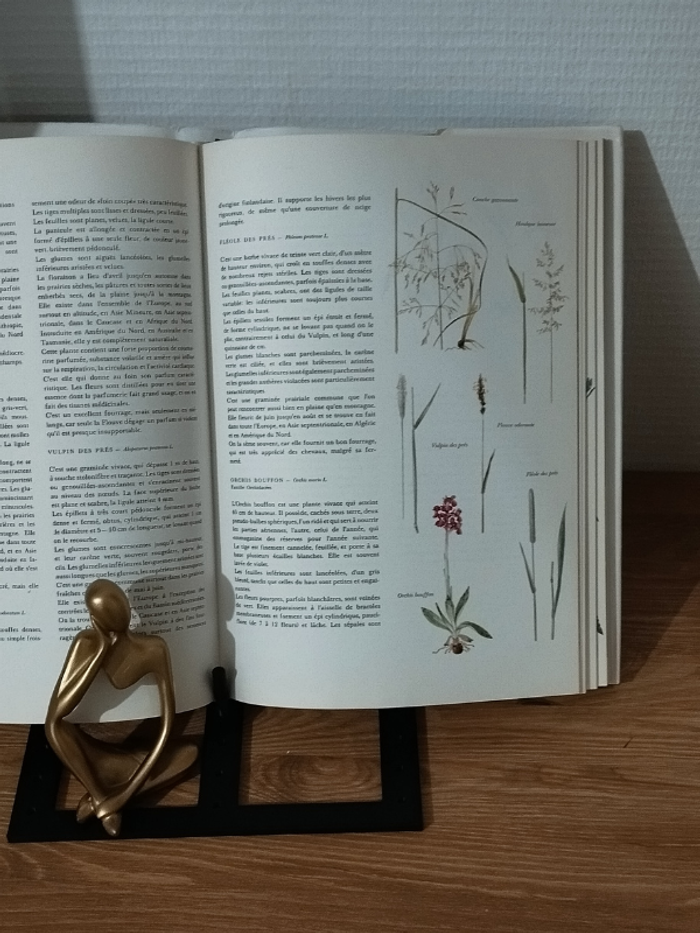 Ouvrage Flore d'Europe édition Gründ 1975 - photo numéro 6