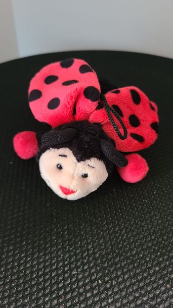 doudou coccinelle