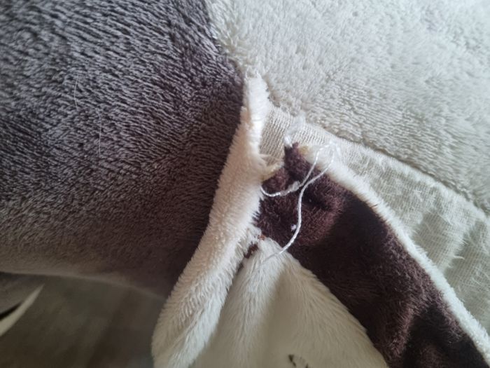 Cheval a bascule - photo numéro 3