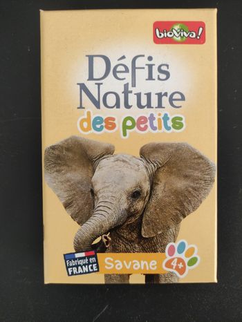 Jeu défi nature des petits