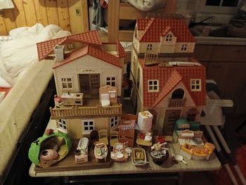 Lots sylvanian et autres