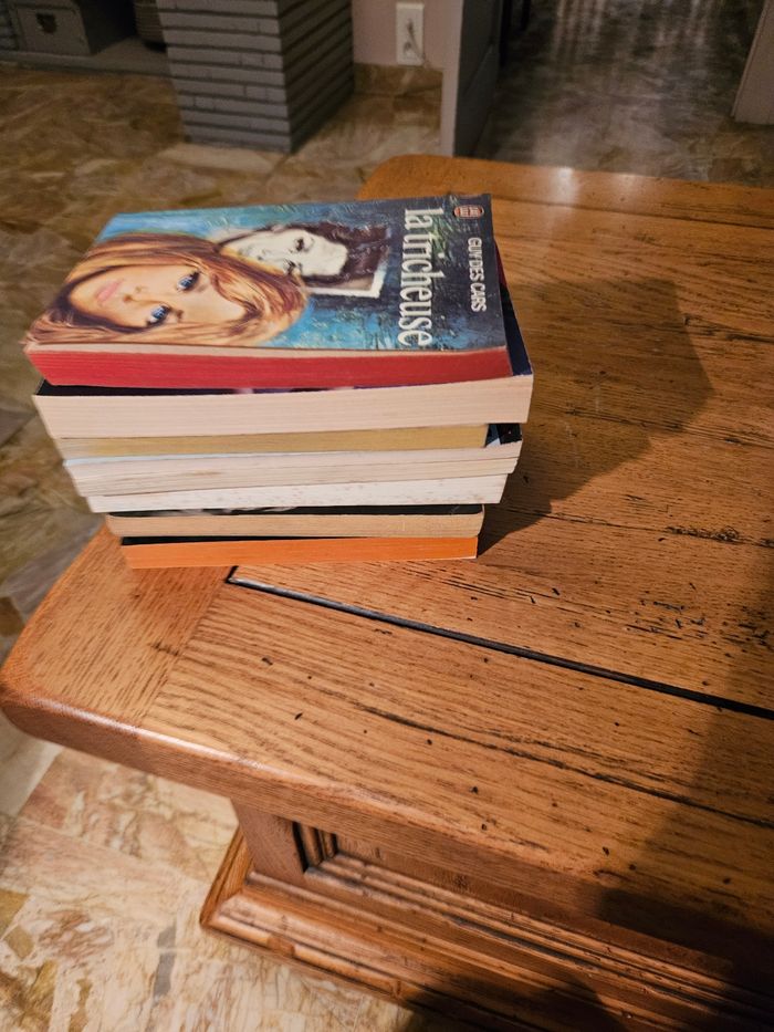 8 livres 📚  romans - photo numéro 9