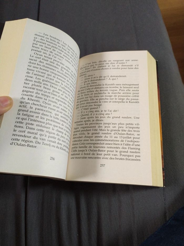 Yeruldelgger de Ian Manook - photo numéro 6