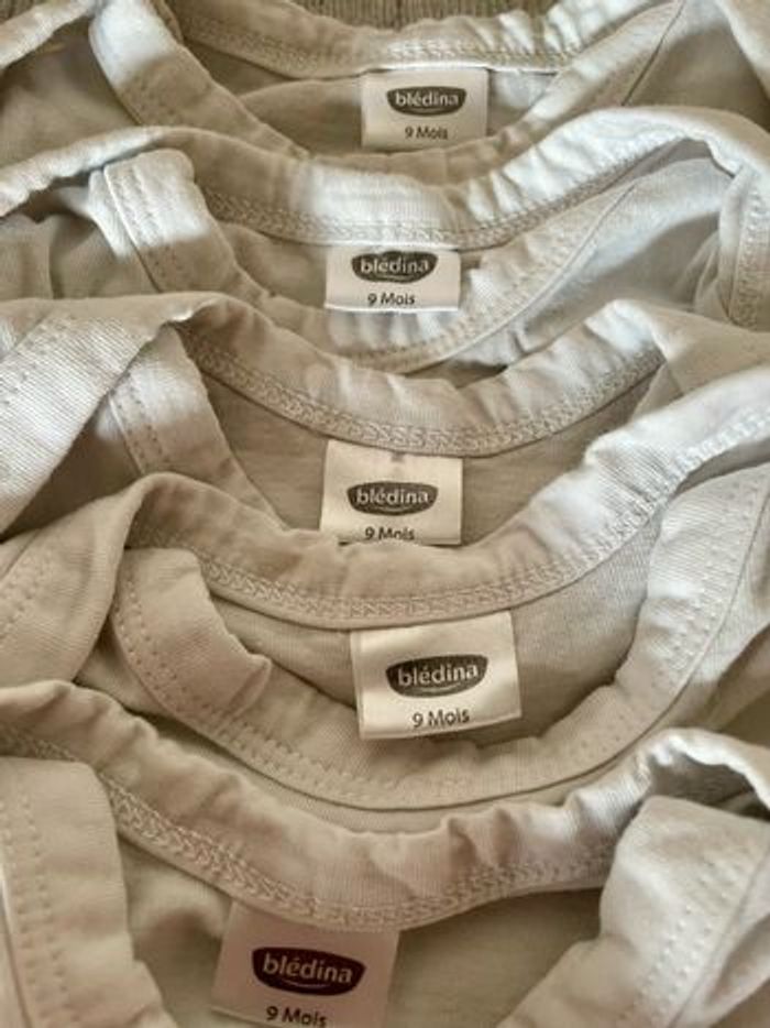 Lot 5 bodys 9 mois Bledina - photo numéro 3