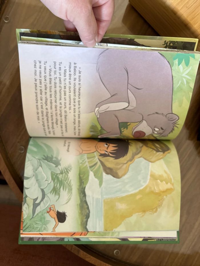 Le livre de la jungle - photo numéro 3
