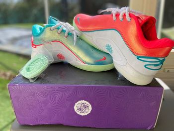 Nike LeBron XXII (22) "Christmas" – NEUVES