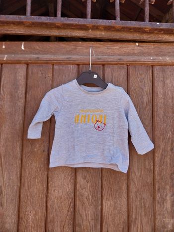 Tee-shirt manche longue 9 mois Pat et ripaton
