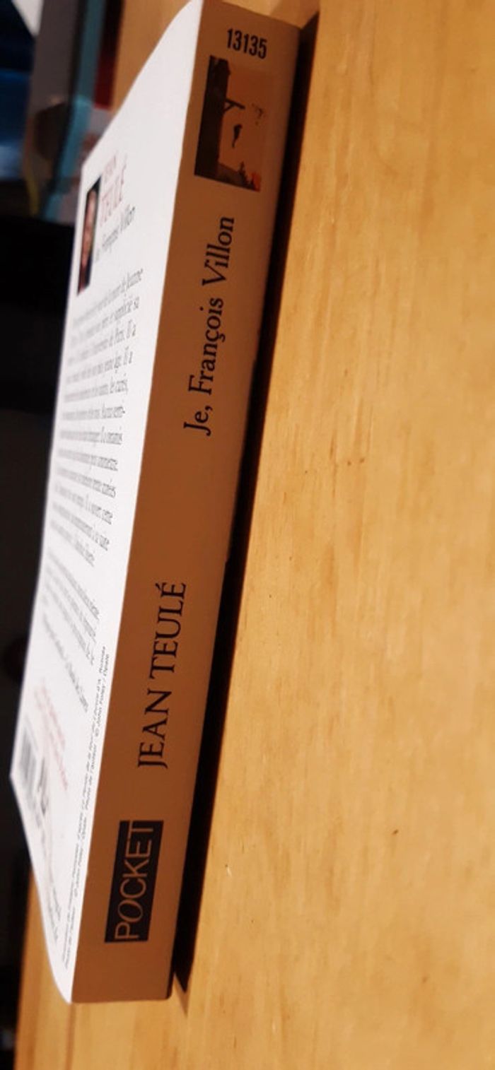 Roman Je, François Villon - photo numéro 4