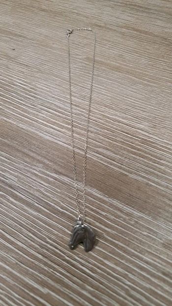 Chaîne avec son pendentif