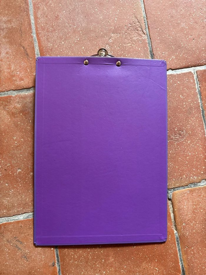 bloc-notes avec un scarabée - photo numéro 2