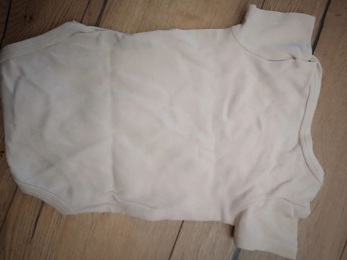 Bodie 12mois - photo numéro 3