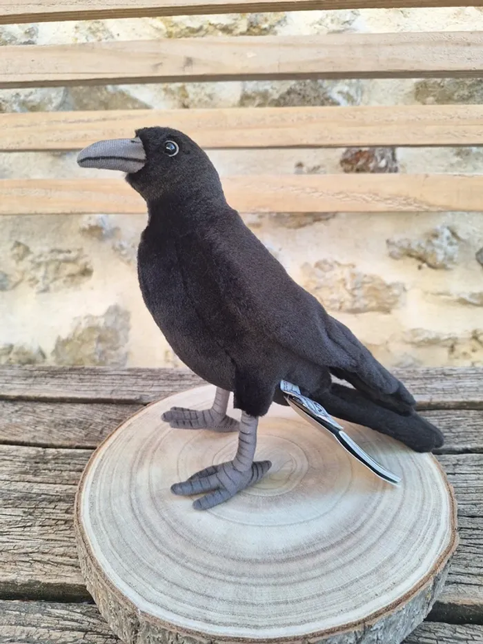 black crow corbus corbeau raven corvo cuervo rabe Hansa anima - photo numéro 2