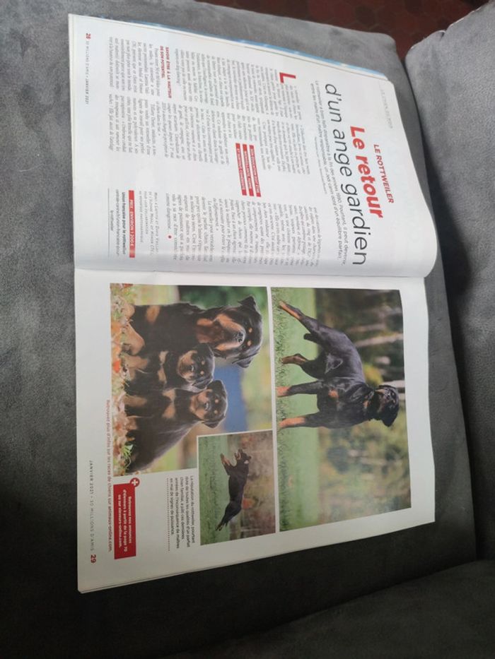 Magazine 30 millions d'amis numéro 391 janvier 2021 - photo numéro 8