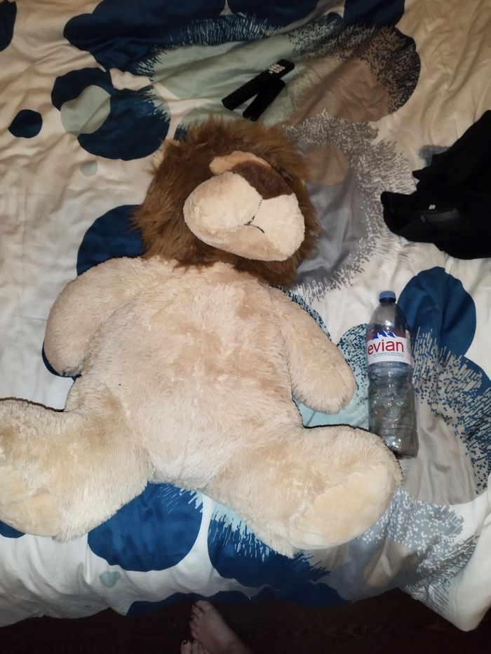 peluche xxl - photo numéro 3