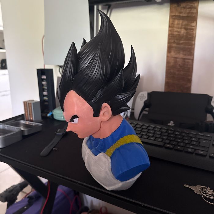 Buste végéta - photo numéro 2