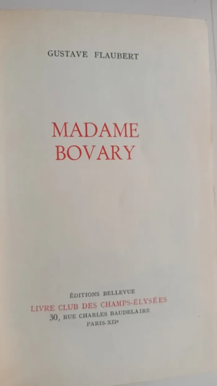 livre madame bovary - photo numéro 6