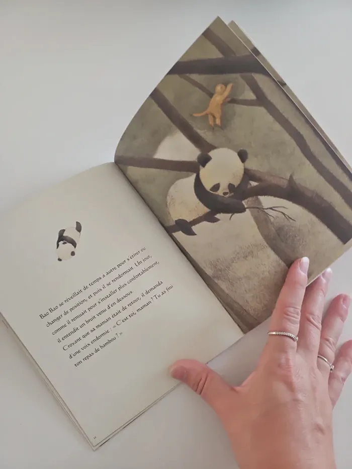 Petit panda et le tigre volant - photo numéro 2